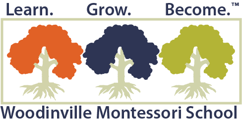 School partner logo